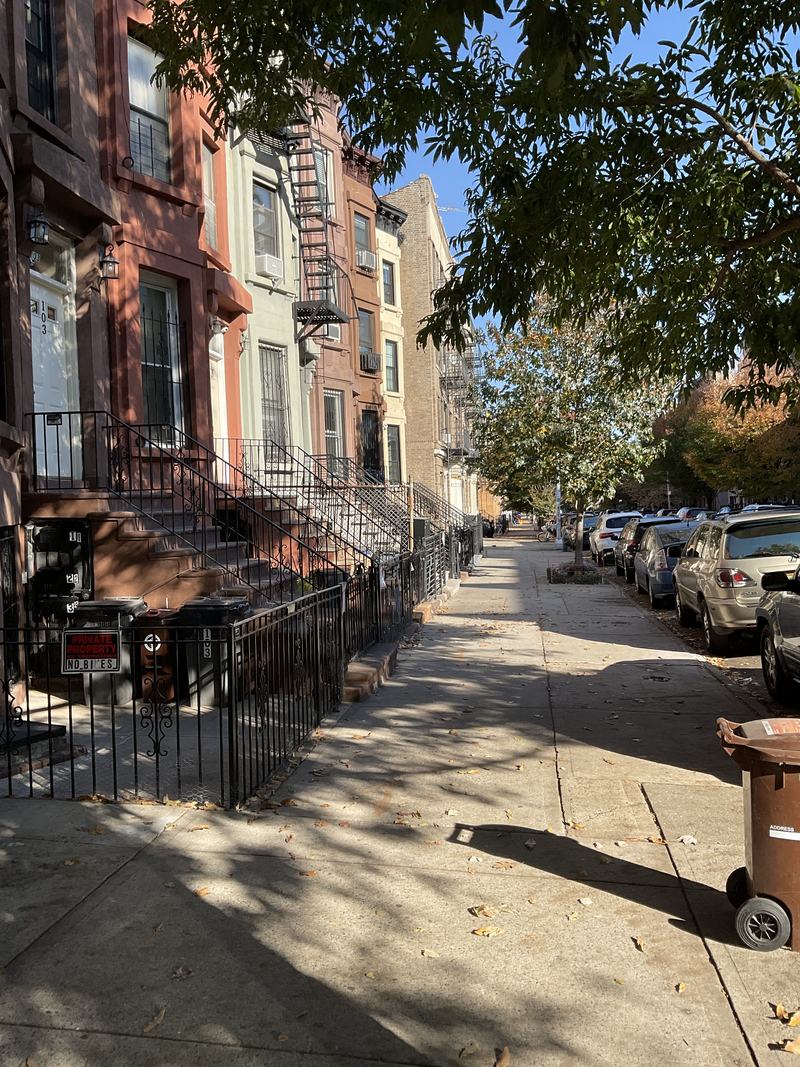 Bedford-Stuyvesant neighborhood street