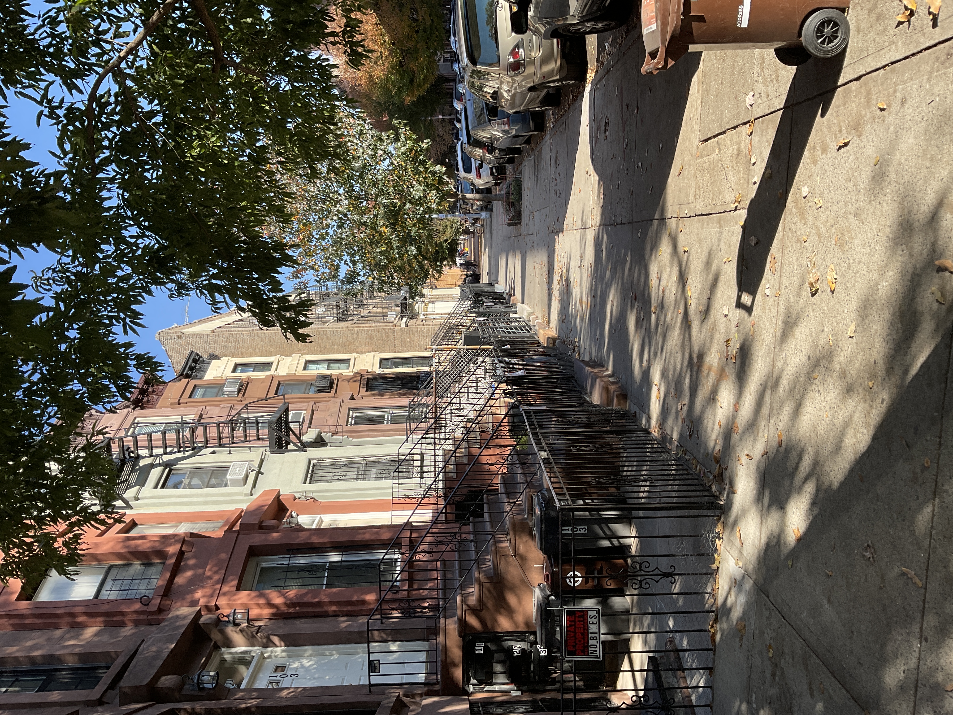 Bedford-Stuyvesant neighborhood street